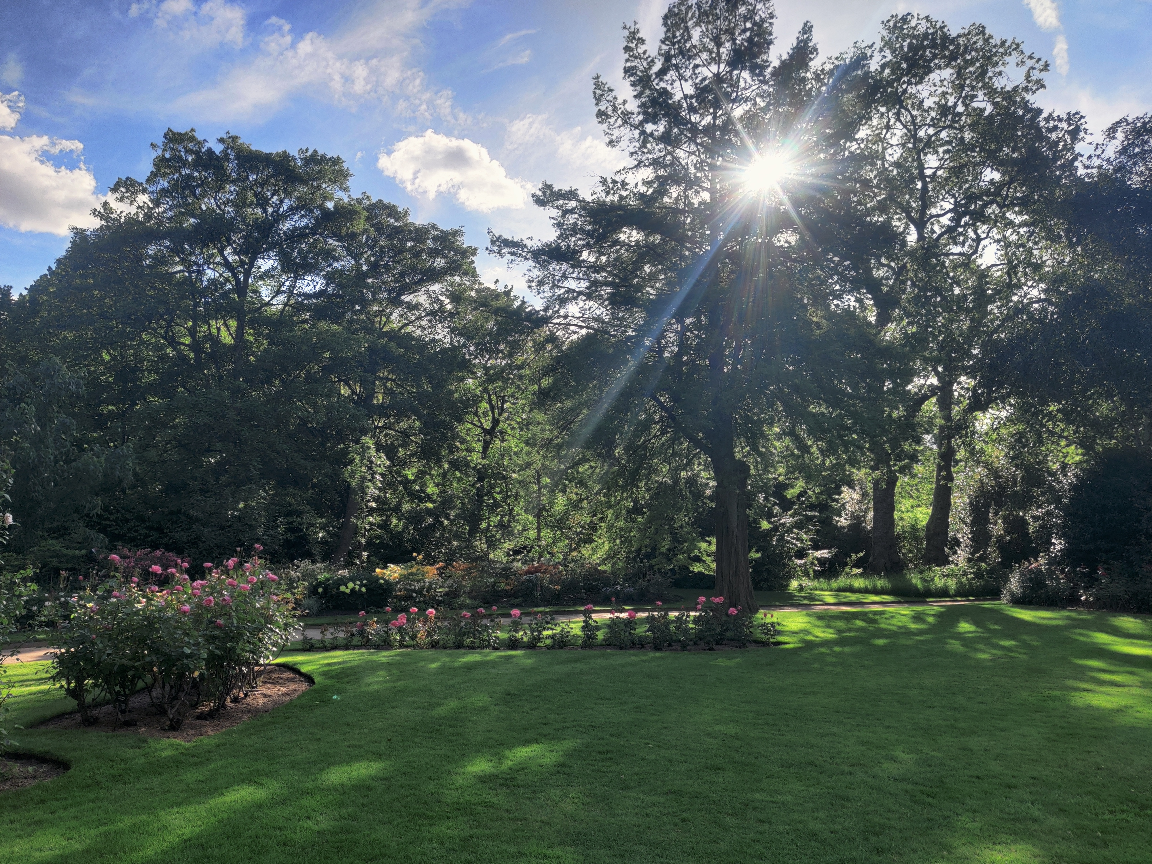 A sunny and lush day in the palace gardens