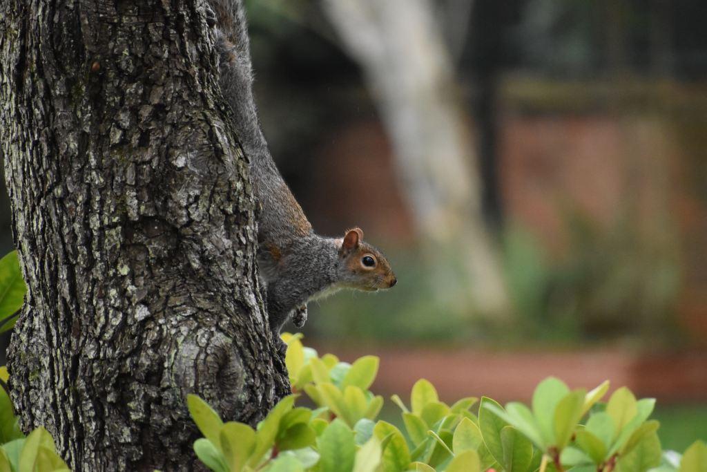 DSC_0360.JPG#asset:1642