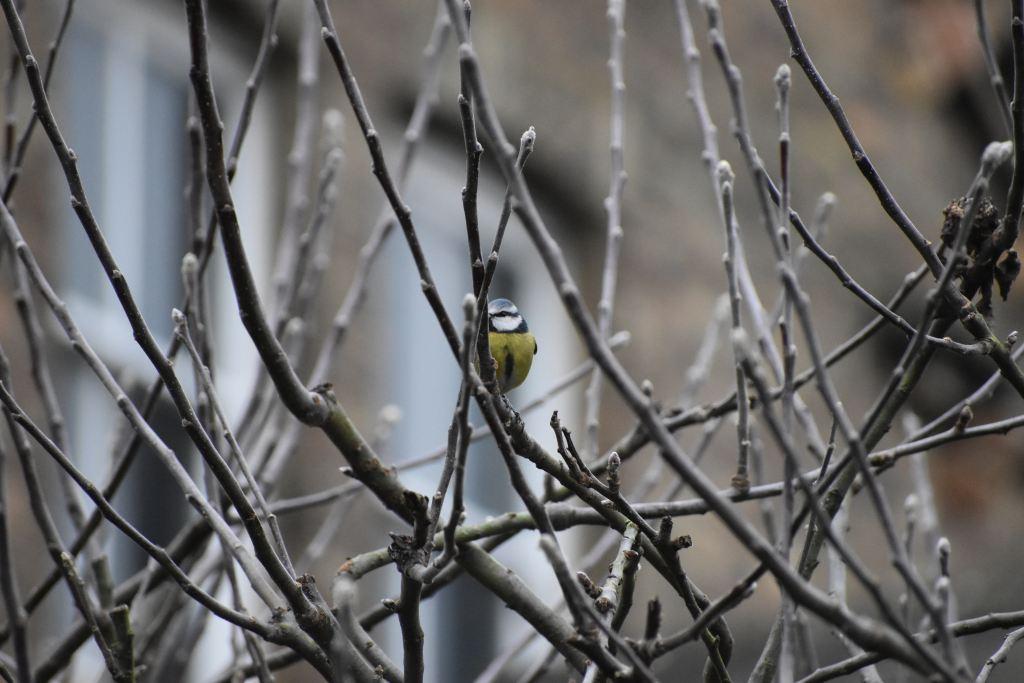 DSC_0442.JPG#asset:1640