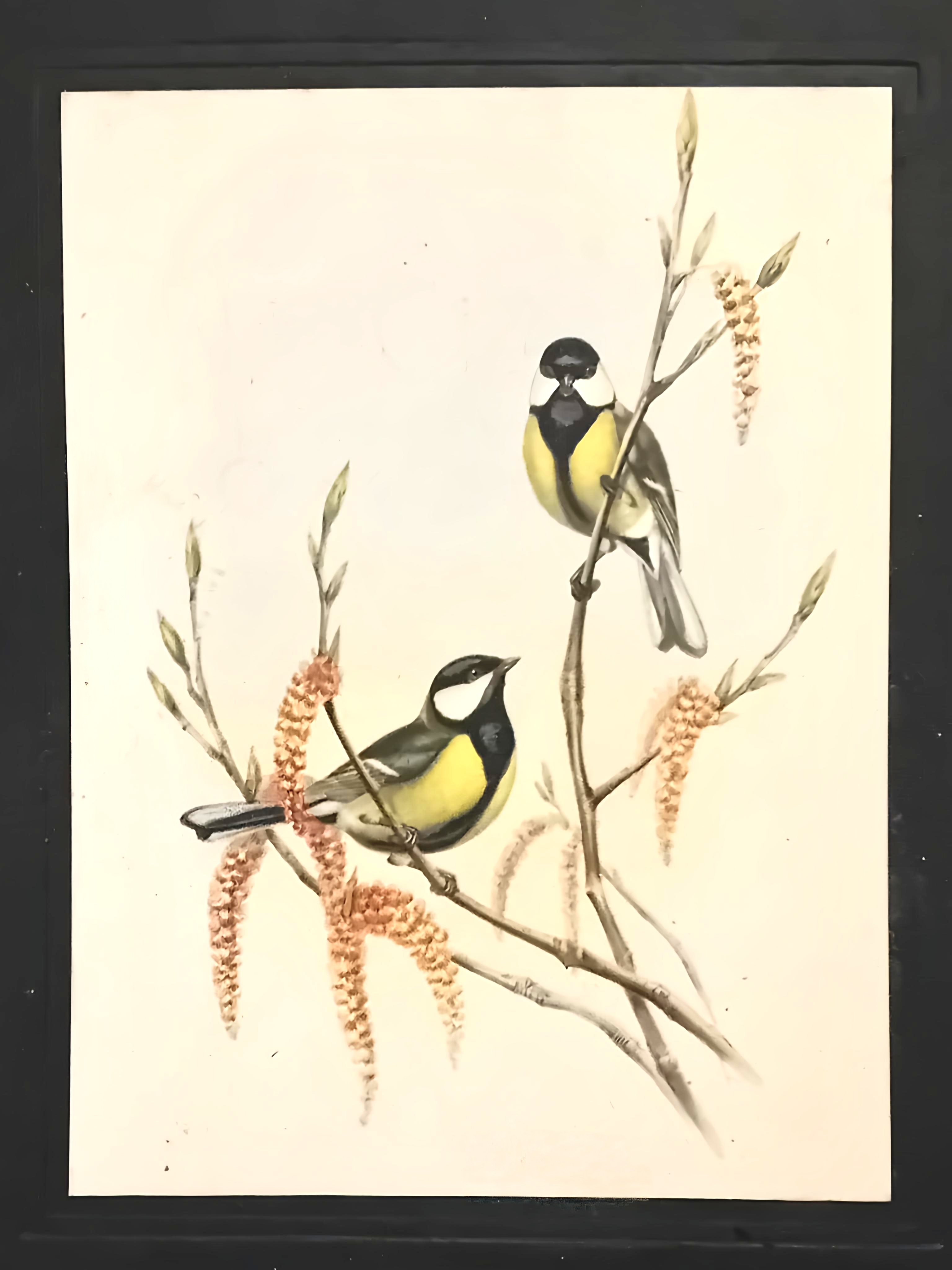 IMG_20260123_133440.jpg#asset:1643