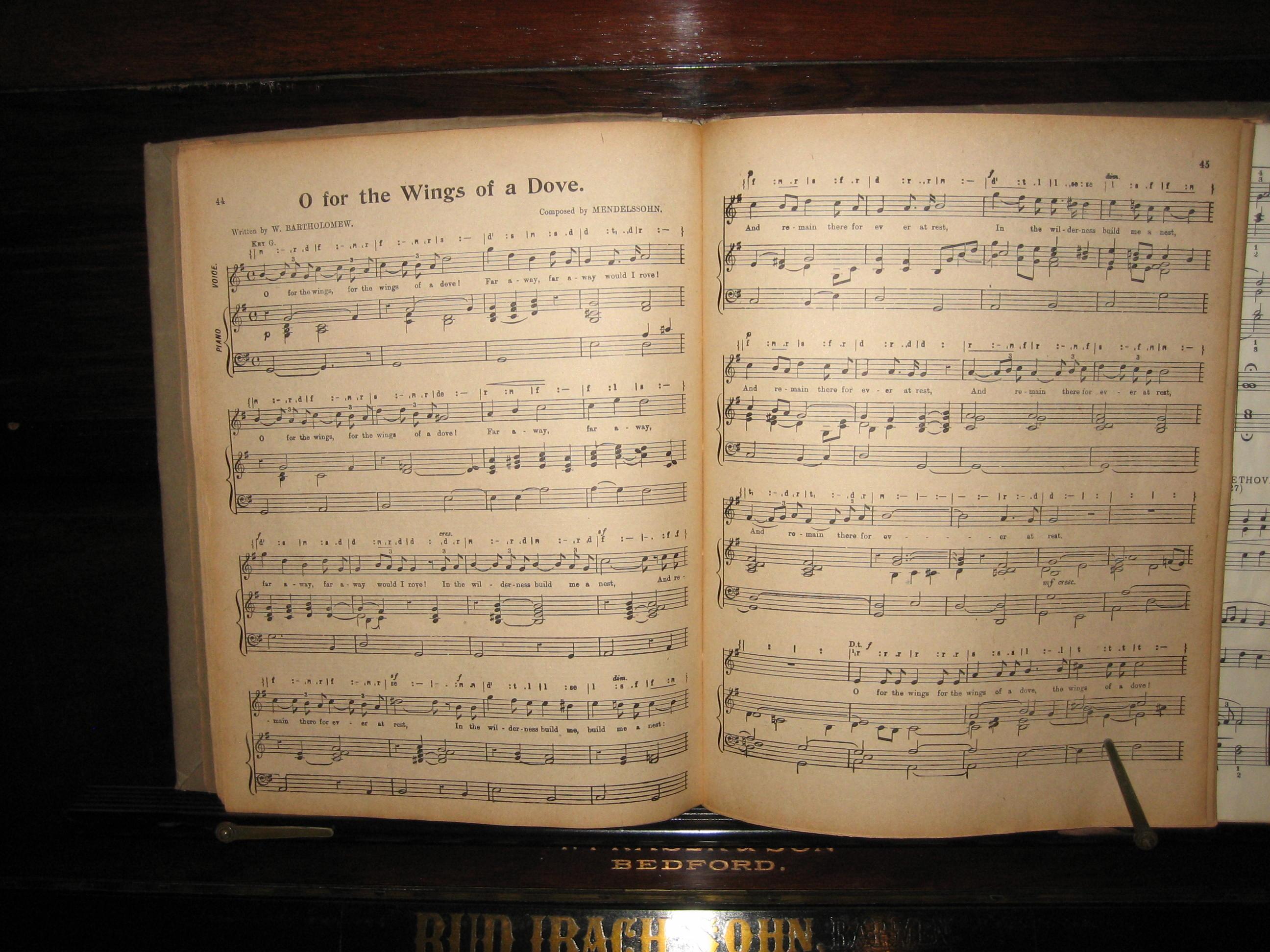 IMG_0006-Copy.JPG#asset:1694