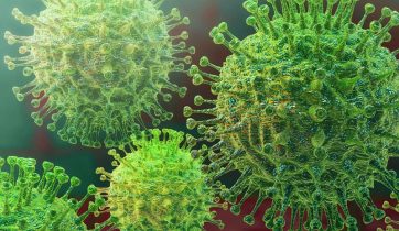 Coronavirus and the Panaceans