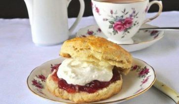 Teas at the Panacea Museum