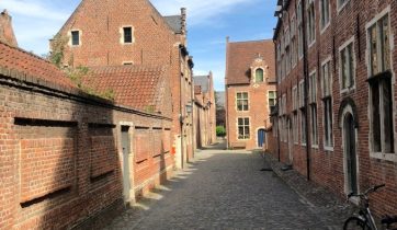 Panacean Lookalikes?